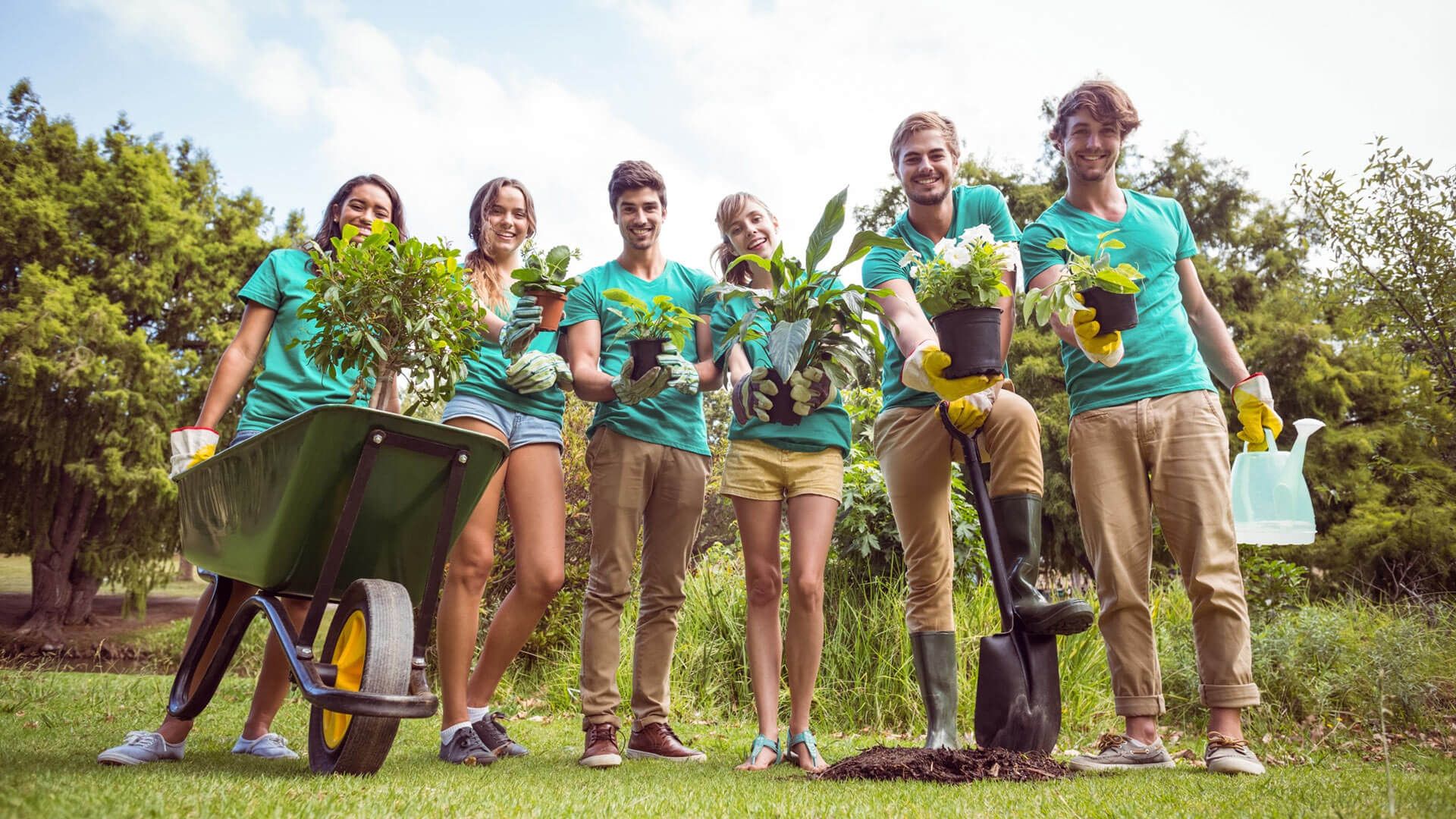 Forst & Ga-La-Bau Wolf GmbH